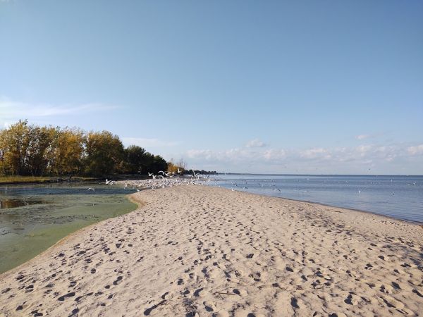 Bay City State Park Campgrounds