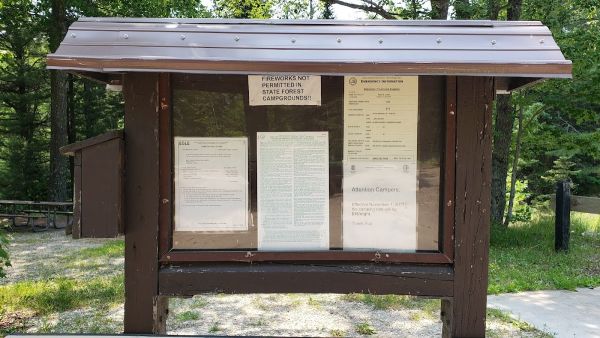 Reed & Green Bridge State Forest Campground