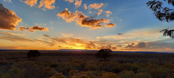 Blue Mountains RV Park