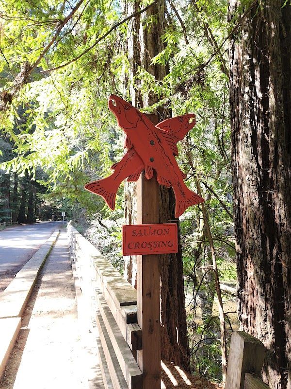 Creekside Campground