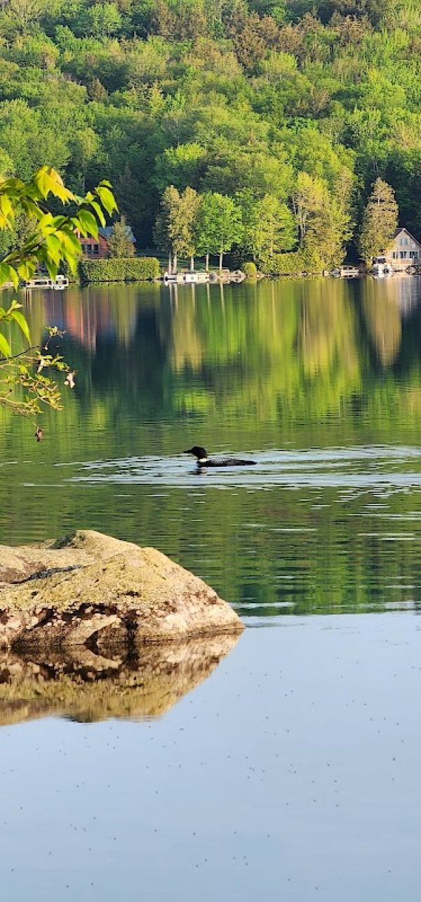 Maidstone State Park Camping Area "A"