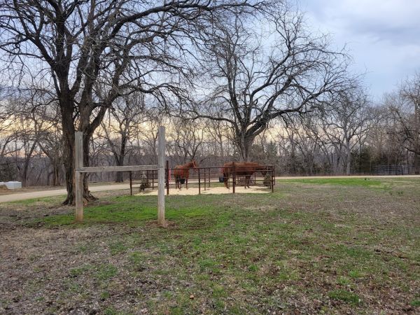 Wild Horse Equestrian Campground (Horses Only)