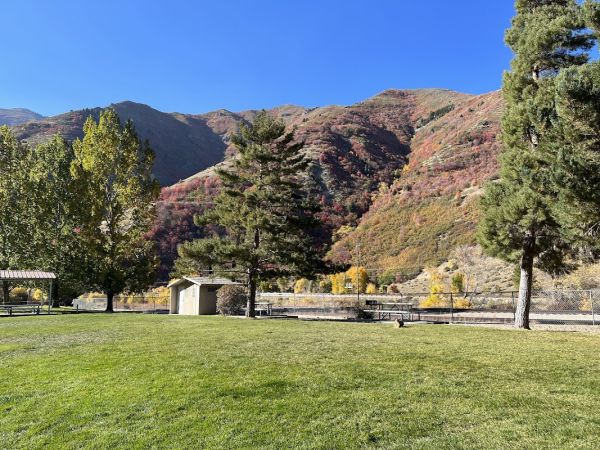 Vivian West Group Area