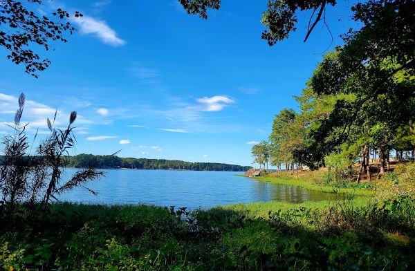Lawrence Shoals Campground