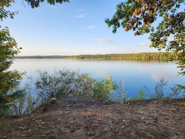 Newaygo State Park Oak Campground