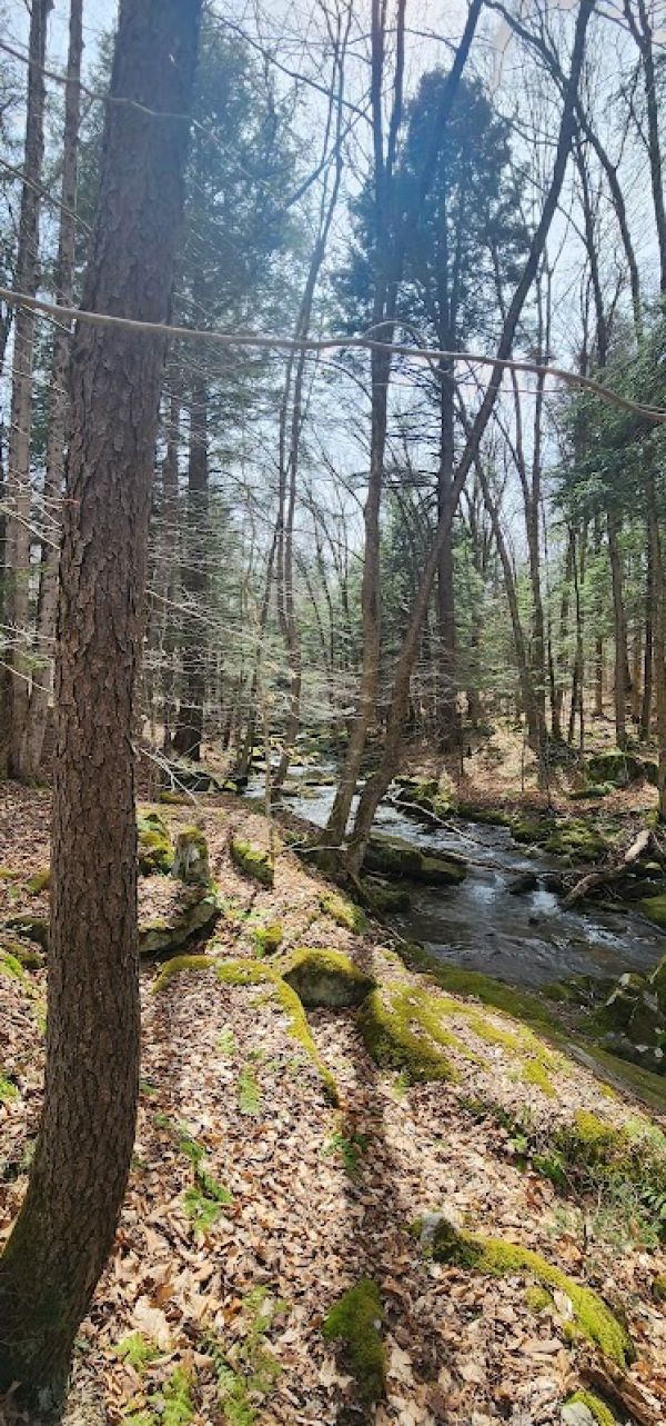 Red House Horse Camp