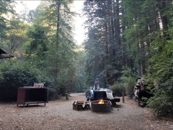 Huckleberry Flat Dog Campground