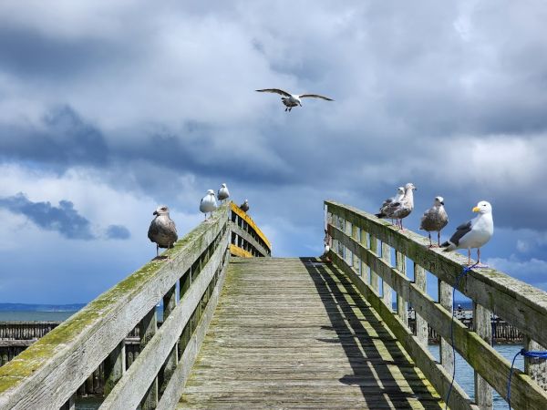 Wetport RV Park & Motel