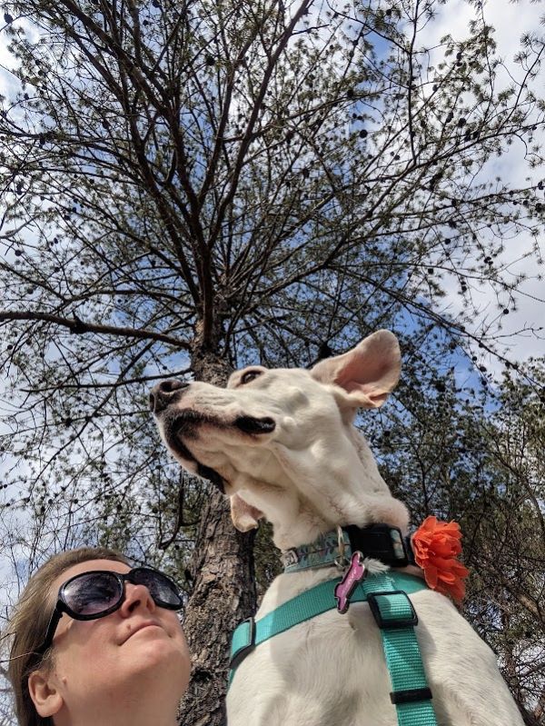 Martha's Pretty Point Backcountry Campground