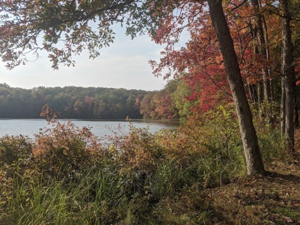 Whelan Lake Area Primitive Campground