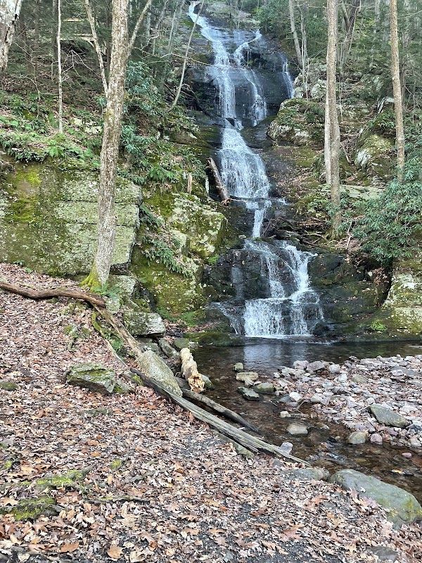 Lake Ocquittunk Camping Area