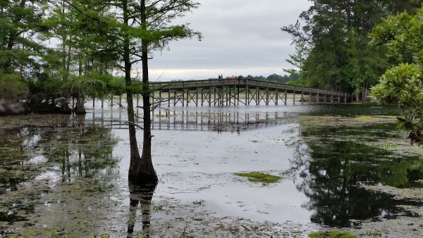 Martin Dies Junior State Park Camping Area