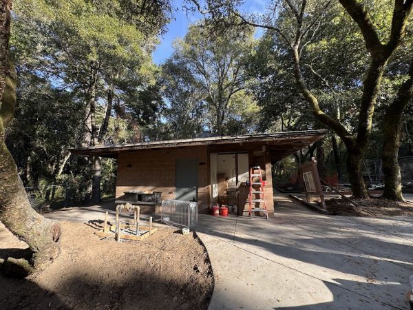 Henry Cowell Redwoods State Park Campground