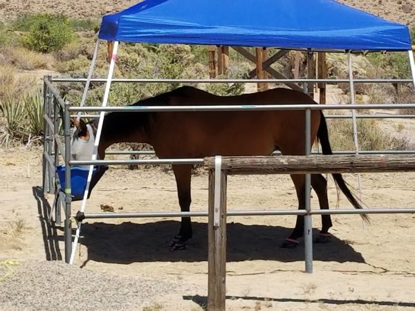 Black Canyon Group & Equestrian Campground