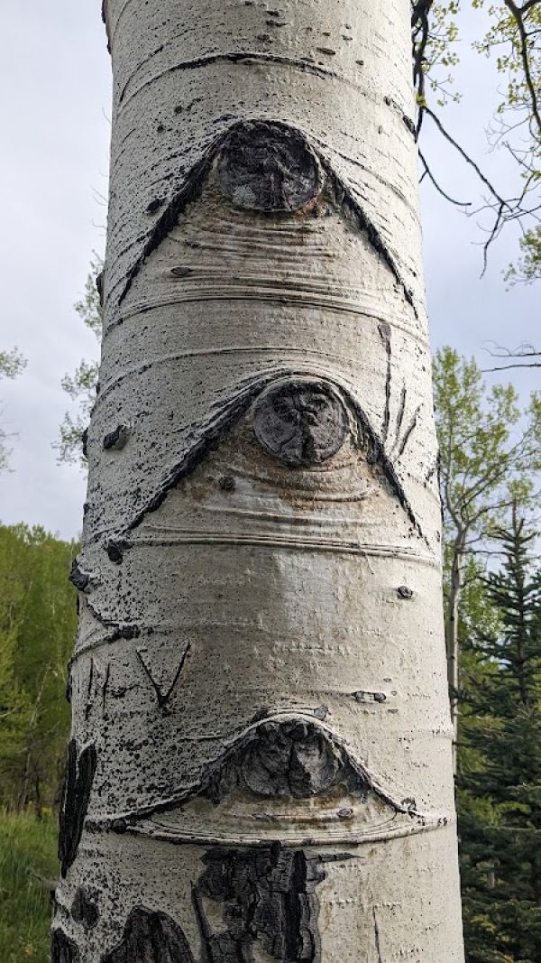 Iron Gate Campground