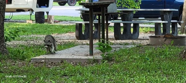 Sunflower Meadow Campground