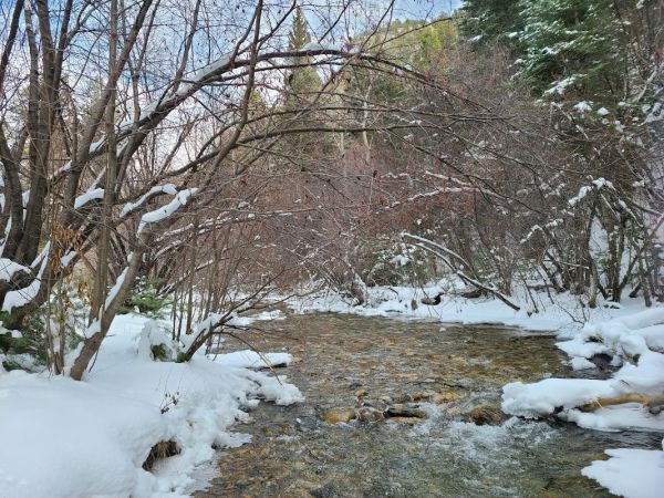 Lower Hondo Campground