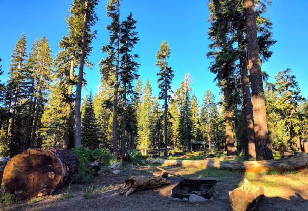 (LAKE ALPINE)  SILVER TIP CAMPGROUND