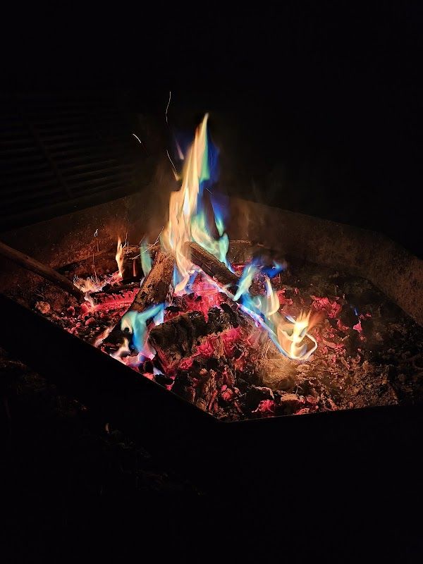 (Lake Alpine) Pine Marten