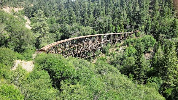 Aspen Group Area (Lincoln National Forest, NM)