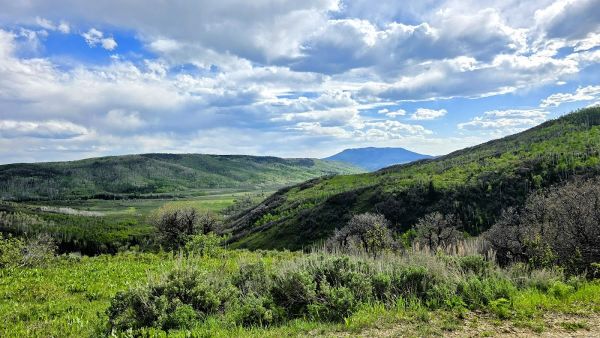 BOTTLE CREEK GROUP PICNIC SITE