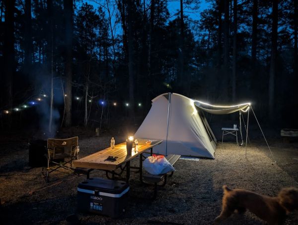 Beaver Dam Campground (Kisatchie National Forest, LA)