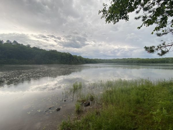 Beaver Lake (Chequamegon-Nicolet NF, WI)