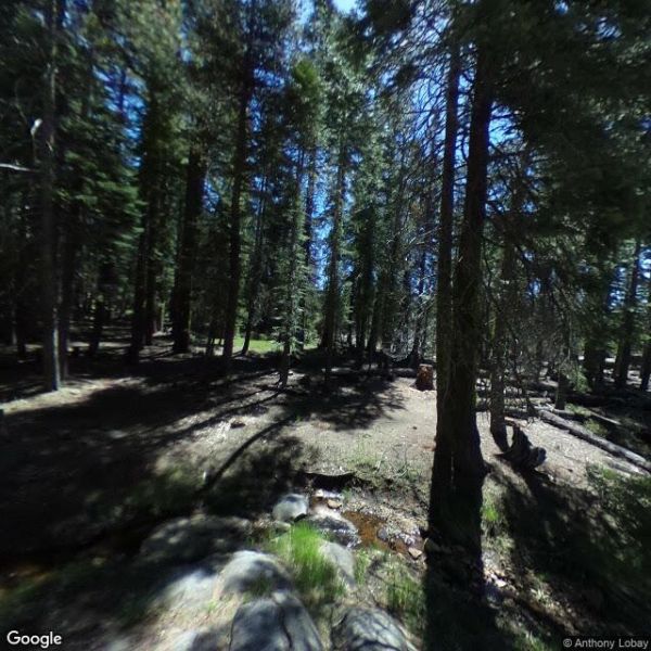 Big Meadow (Stanislaus National Forest)