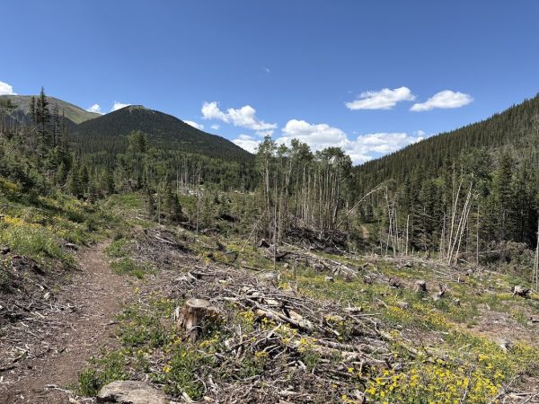 Blue Lake Campground - San Isabel NF (CO)