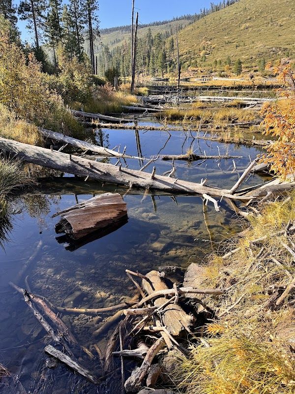 Blue Lake Campground Group Site - Modoc NF (CA)