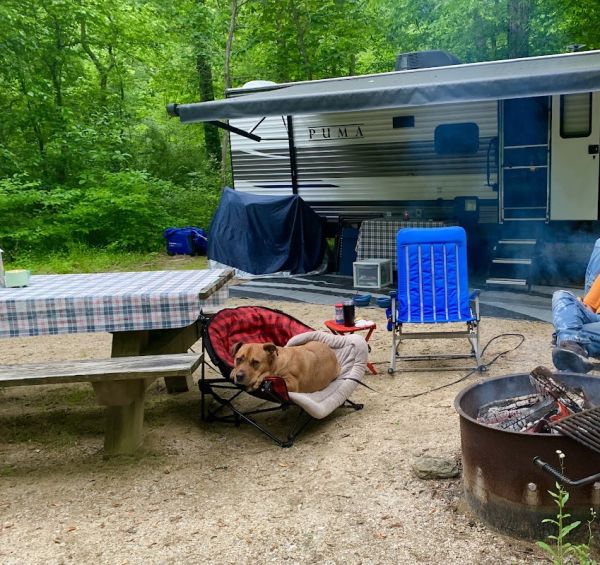 CAVE MOUNTAIN LAKE GROUP PICNIC SHELTER