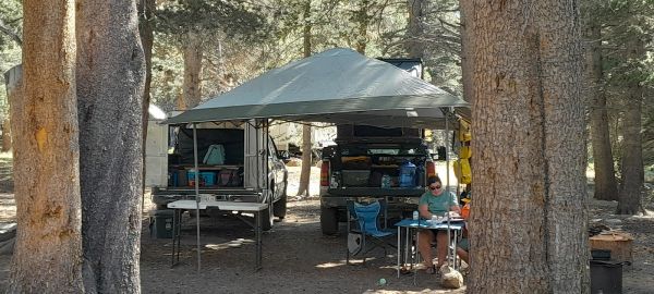 Lower Virginia Creek Primitive Campground