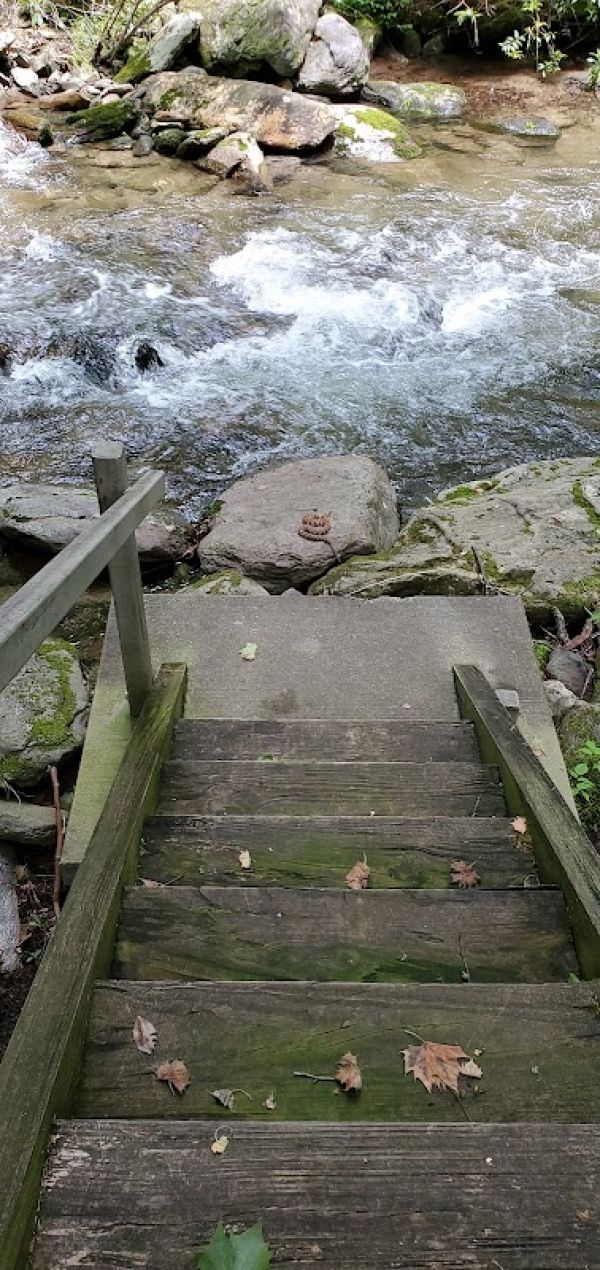 CURTIS CREEK CAMPGROUND (NC)