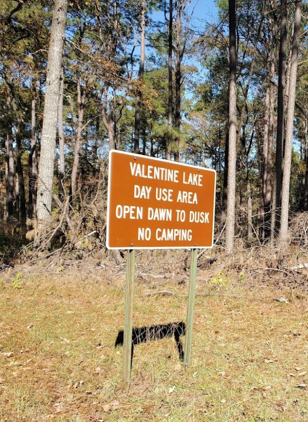 Kisatchie National Forest Valentine Lake