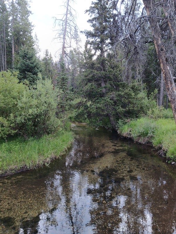Cable Mountain Campground (MT)
