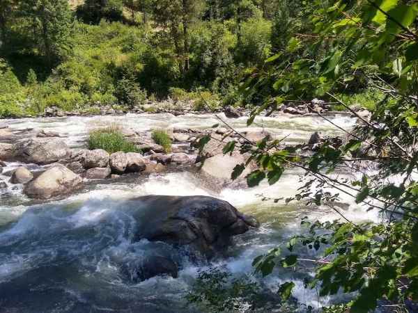 Cold Springs Campground - Boise NF (ID)