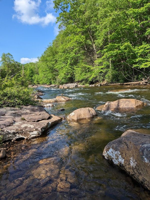 Cranberry River Campsites