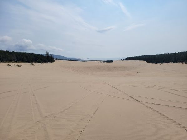 East Dunes Campground - Sand Lake Recreation Area