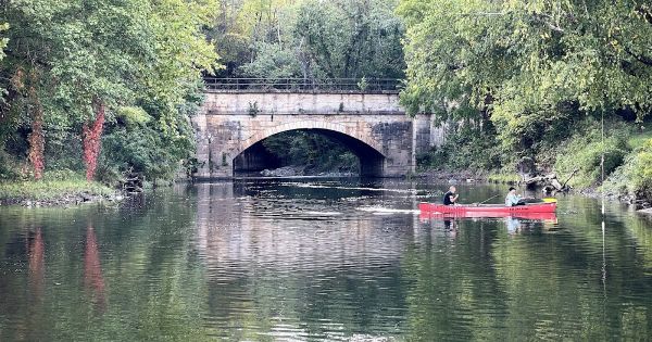 Fifteen Mile Creek Campsite