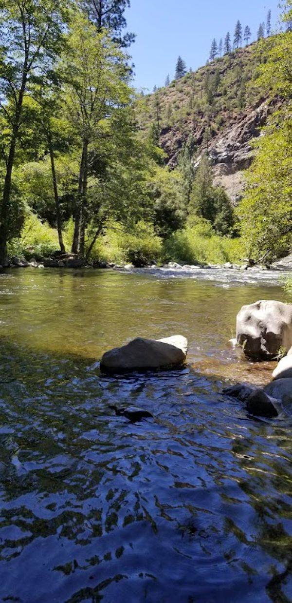 Gansner Bar Campground (CA)