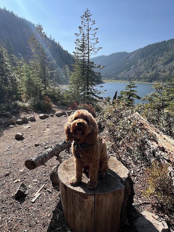 Kinnikinnick (Laurance Lake) Campground