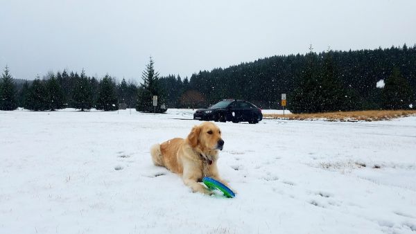 Kodiak National Wildlife Refuge Cabins
