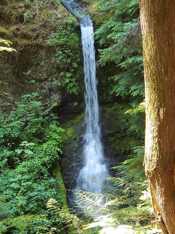 LEWIS RIVER HC (WA) GIFFORD PINCHOT NF