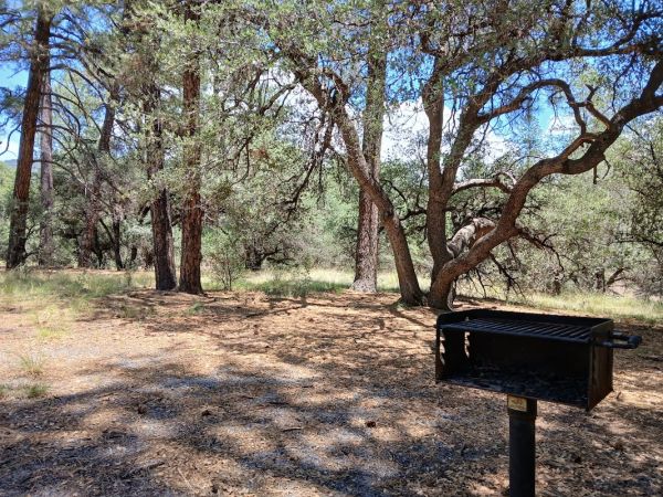 Little Walnut (Group Picnic Sites)