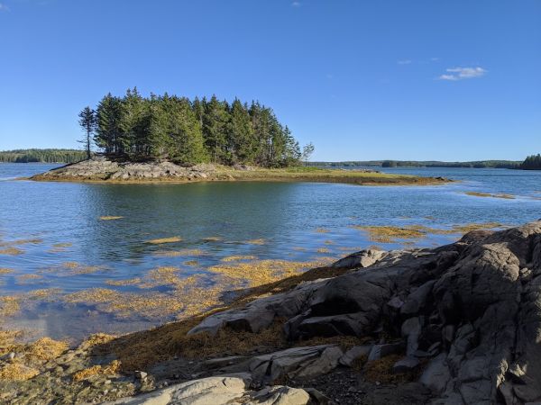 Cobscook Bay State Park