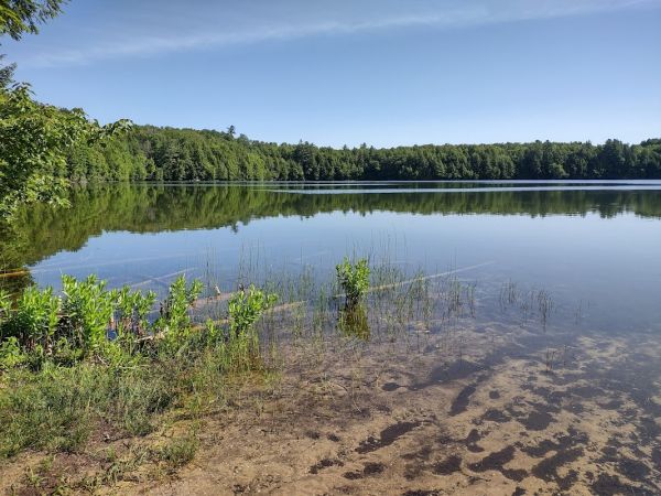 Minerva Lake Campsite
