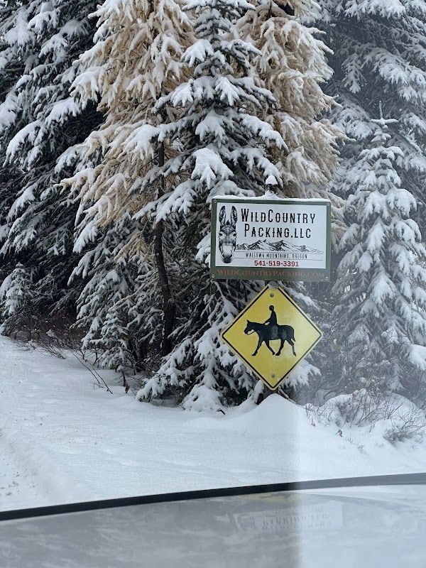 Moss Springs Campground