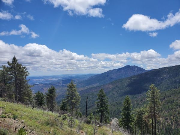 North Fork - Mendocino National Forest