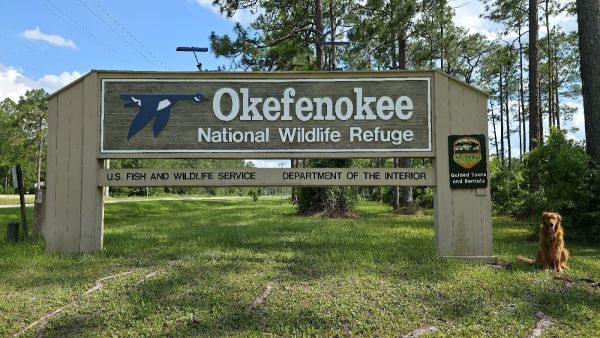 Okefenokee National Wildlife Refuge Overnight Camping Permit