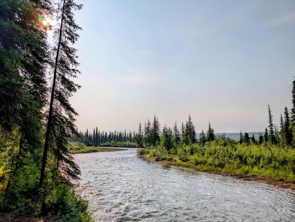Ophir Creek Campground
